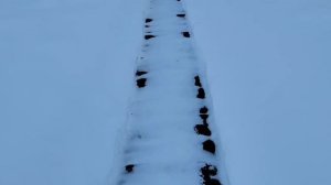 ПУСТЫЕ КАНАЛЫ НА РУТУБ, А МОЖЕТ БЫТЬ ОНИ НУЛЕВЫЕ И БЕПОЛЕЗНЫЕ, А КАК ЖЕ ЧЕЛОВЕК ЗА НАЗВАНИЕМ КАНАЛА