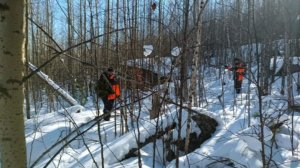 В Приморье три дня не могут найти 14-летнюю девушку