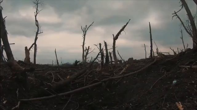 СВО штурм смотреть онлайн