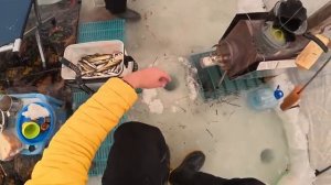 Ночная рыбалка пошла не по плану! Палатка против стихии!