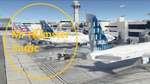 Mr Humster muzic / offensive