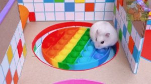 Хомячки убегают из ужасающего лабиринта бассейна с шариками!Маленький хомячок, который храбро плывет