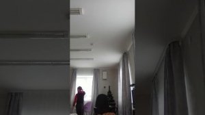 стрим трек дрим лайв