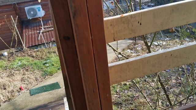 СОЧИ ГОРНОЕ ЛОО 18.01.2026 смотреть онлайн