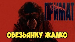 Примат. Обзор. Обезьянку жалко