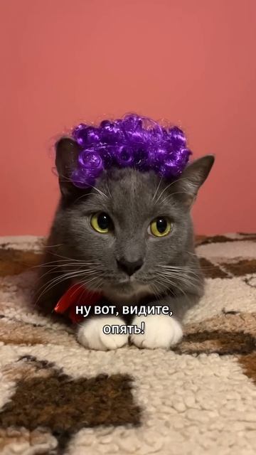 КОТИКИ НА ПРИЁМЕ У ДОКТОРА смотреть онлайн