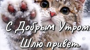 Доброе утро понедельника зима красивые пожелания