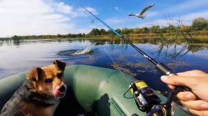 ПРОБУЕМ ЛОВИТЬ ЩУКУ НА ПОПЛАВОК. РЫБАЛКА ОСЕНЬЮ НА РЕКЕ 2025.