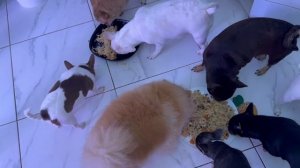 Нагулялись, пора и подкрепиться.