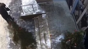 Под новый год украл ёлку в Новосибирске! Ул.Петухова 160