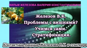Железов В.К. Проблемы с вишнями? Учимся сами. Стратификация.