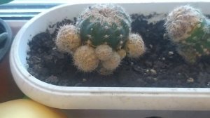 Добейте 40 подписчиков!!!