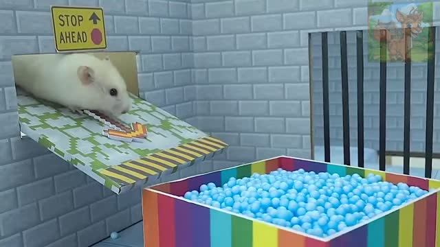 Опасный лабиринт населен червями, и путь к спасению маленького хомячка опасен смотреть онлайн