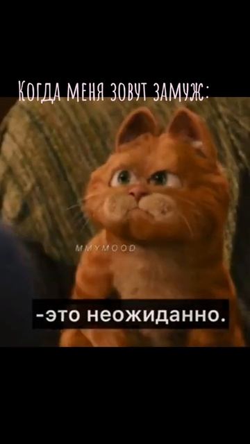 1000063240.mp4 смотреть онлайн