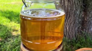 КВАС ХЛЕБНЫЙ