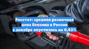 Росстат: средняя розничная цена бензина в России в декабре опустилась на 0,43%