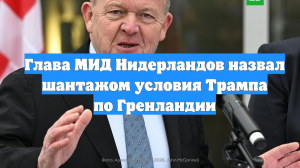Глава МИД Нидерландов назвал шантажом условия Трампа по Гренландии