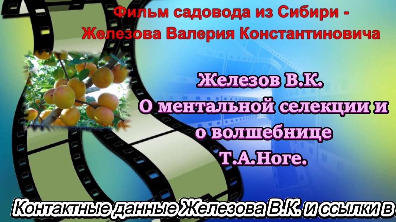 Железов В.К. О ментальной селекции и о волшебнице Т.А.Ноге. смотреть онлайн