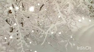 Зимняя сказка в Старом Крыму