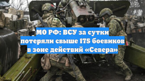 МО РФ: ВСУ за сутки потеряли свыше 175 боевиков в зоне действий «Севера»