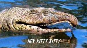 Chasmatosuchus Tribute Seeing Double - Hey Kitty Kitty