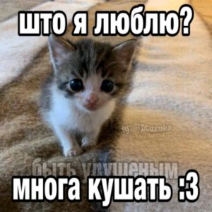 на учю как можно сыграть вступление лесника! Можно играть как и на рок-гитаре, так и на обычной!