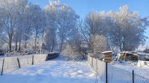 Кротовые кочки, как зефирки 😀👍.