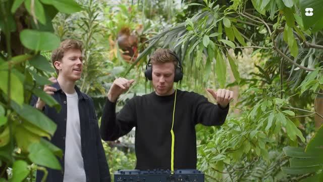 Afro House Mix 2026 (The Weeknd, Calvin Harris, M83, Whitney Houston, RY X) Jungle Vibes - Settow смотреть онлайн