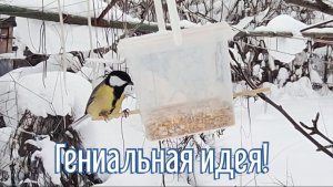 Почему я Раньше до этого не додумался, Как сделать Кормушку для птиц за 4 минуты!