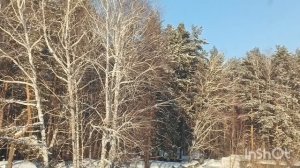 После обеда солнышко 45гр