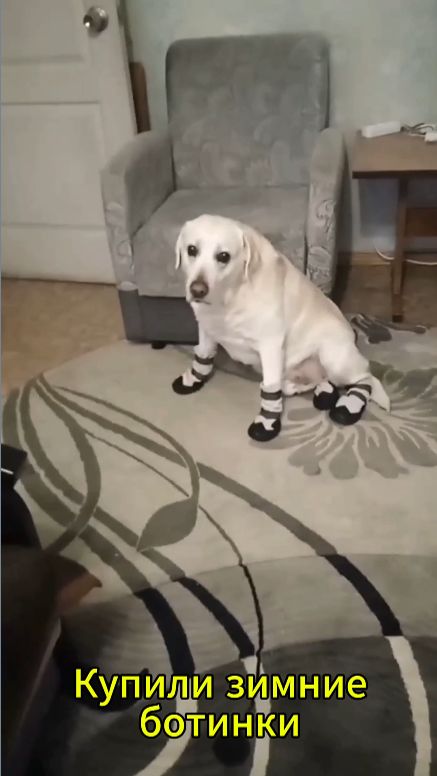 Купили зимние ботинки смотреть онлайн