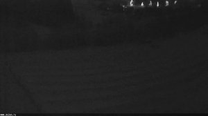 LIVE: channel72300343