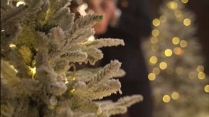 Новогодняя. Семейный дуэт: Катерина и Иван Лашковы