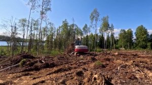 Ныряем за геотермальным шлангом и корчеваем пни