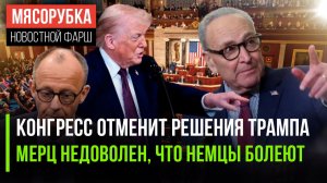 Против Трампа подняли мятеж в США || Мерц отругал болеющих немцев || Лондон в шоке от пошлин США