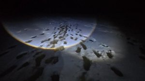 Первый лёд 2026г.часть 2.