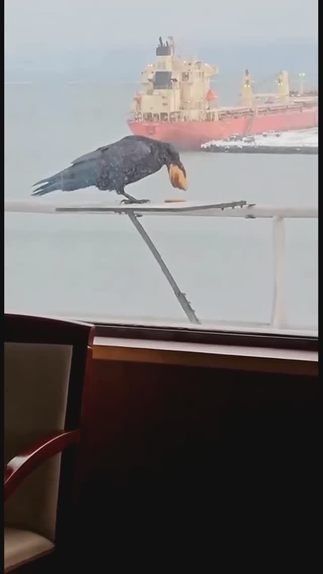 От жизни нужно брать всё! 👍 смотреть онлайн