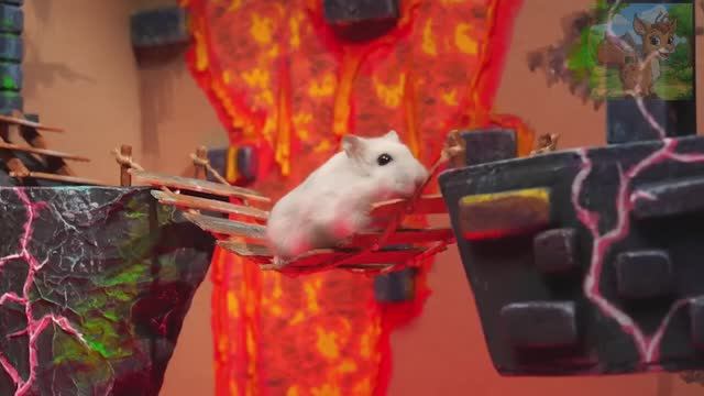 Рай для маленьких хомячков смотреть онлайн