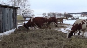 Нас немного приморозило .