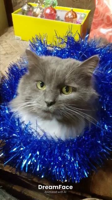 Песня от нашего Жутьки. смотреть онлайн