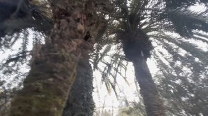 #ЦентрСочи ! #8января2026!!!☀️☀️☀️