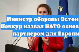 Министр обороны Эстонии Певкур назвал НАТО основным партнером для Европы