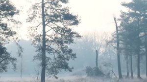 19 января - Как притянуть изобилие уже сегодня_