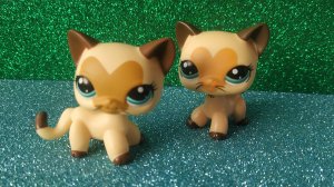 LPS Сериал: Аквамарин 1 серия 1 сезон