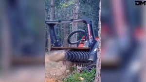 Невероятные моменты из жизни, снятые на камеру. Видео из интернета.