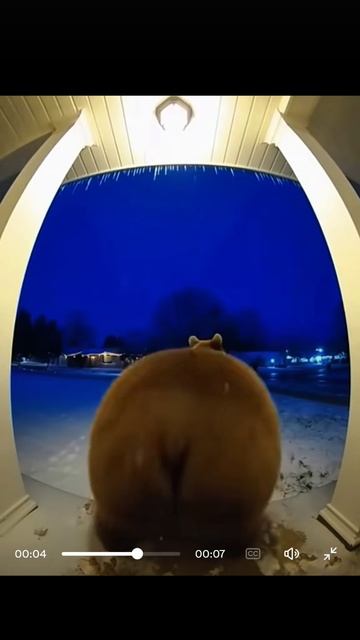 Хз 54. смотреть онлайн