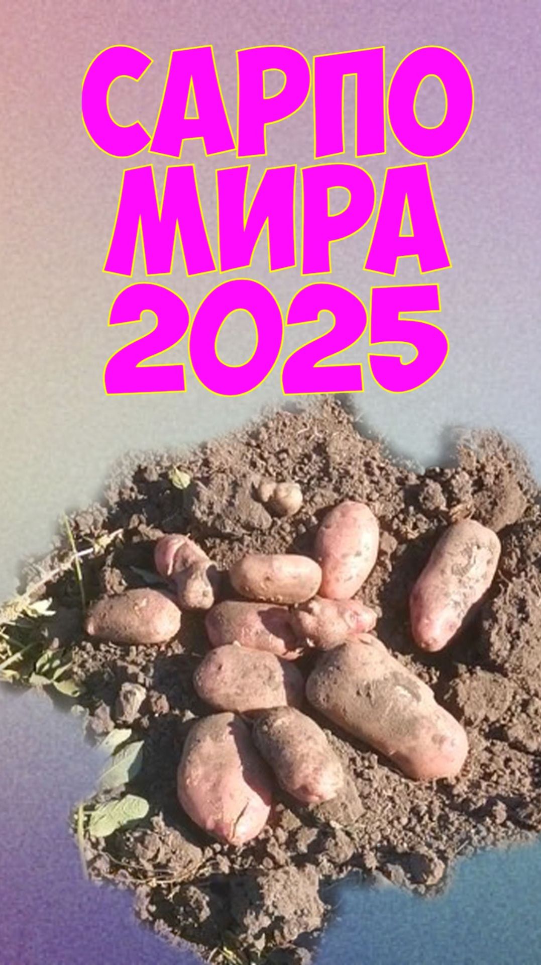 Сарпо Мира смотреть онлайн