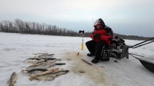 Pioneer для ЩУКИ