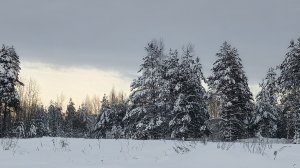 17,18-01-2026💥Влог💥суббота,воскресенье 📖комментарии