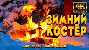 Тихий Зимний Костер В Глухом Лесу ❄️Уютная Зимняя Природа В Крещенские Морозы 🌲 Звуки Костра АСМР